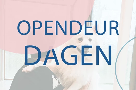 Opendeurdagen - dag 2